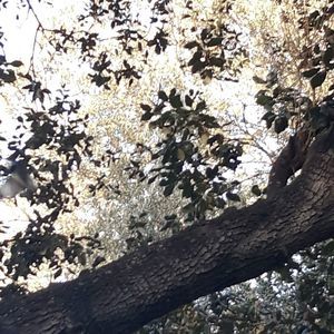 Meet your Posher, Luis